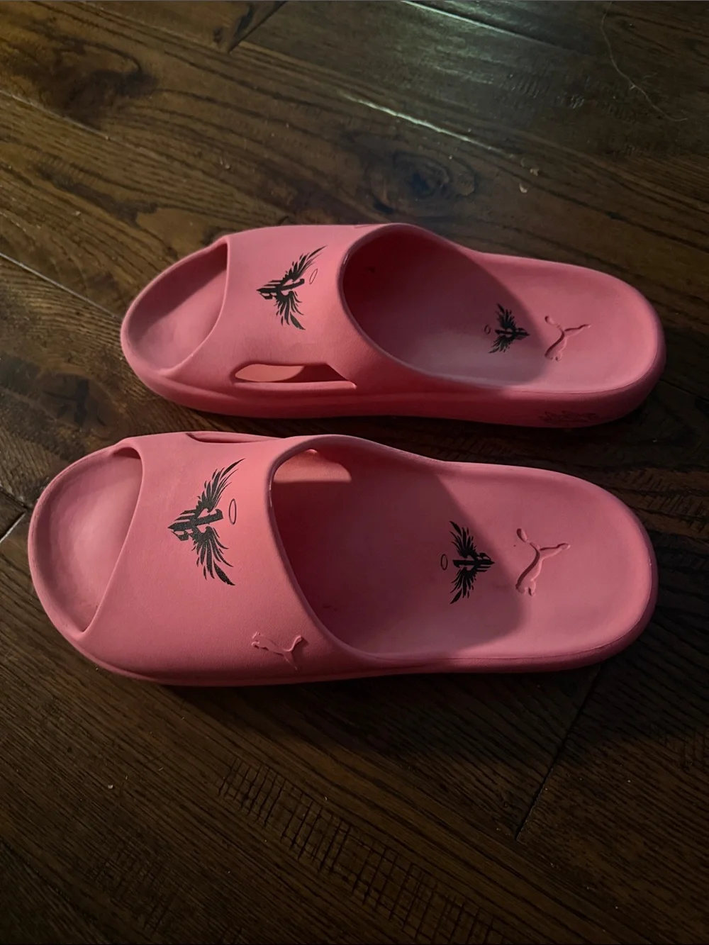 Puma Lamelo Ball x Shibui Cat Slides